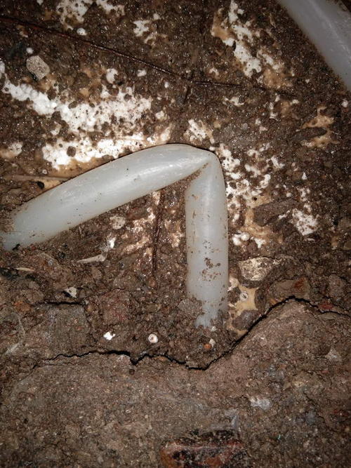 巴楚堵点精准查找